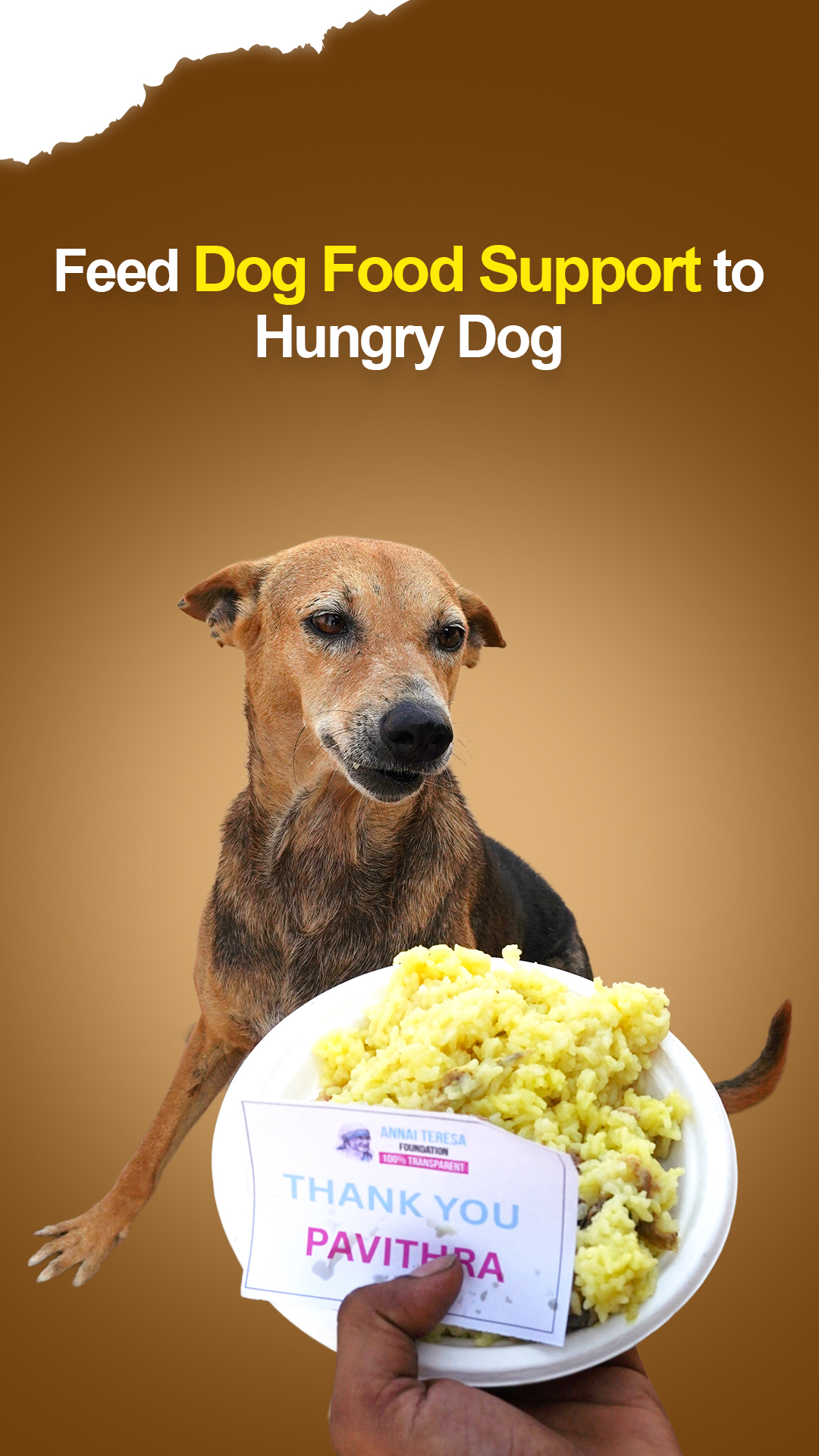 Provide Dog Food