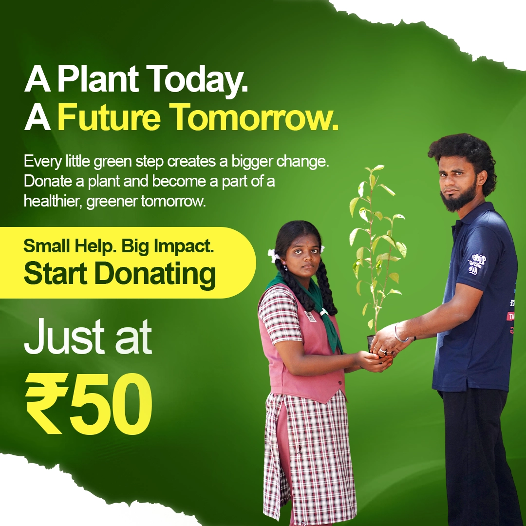 donate a tree sapling
